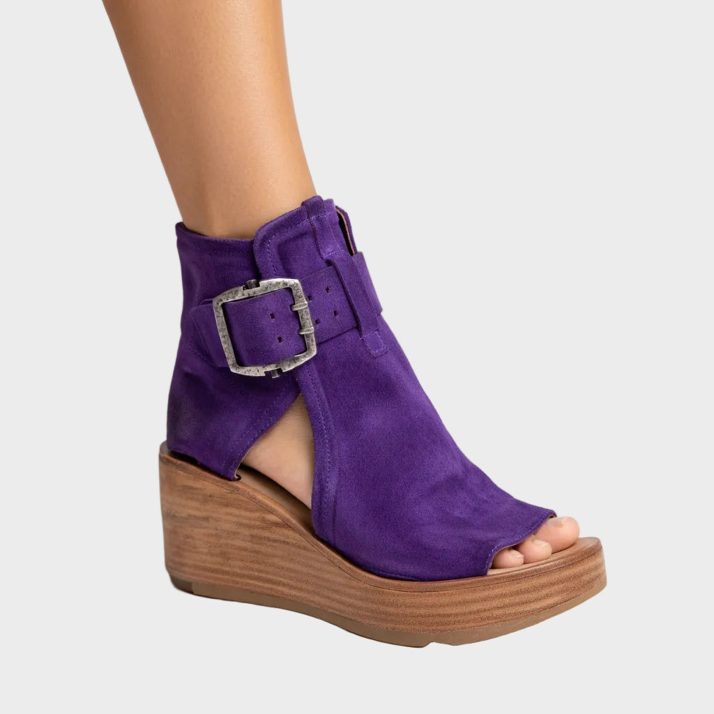 Viola